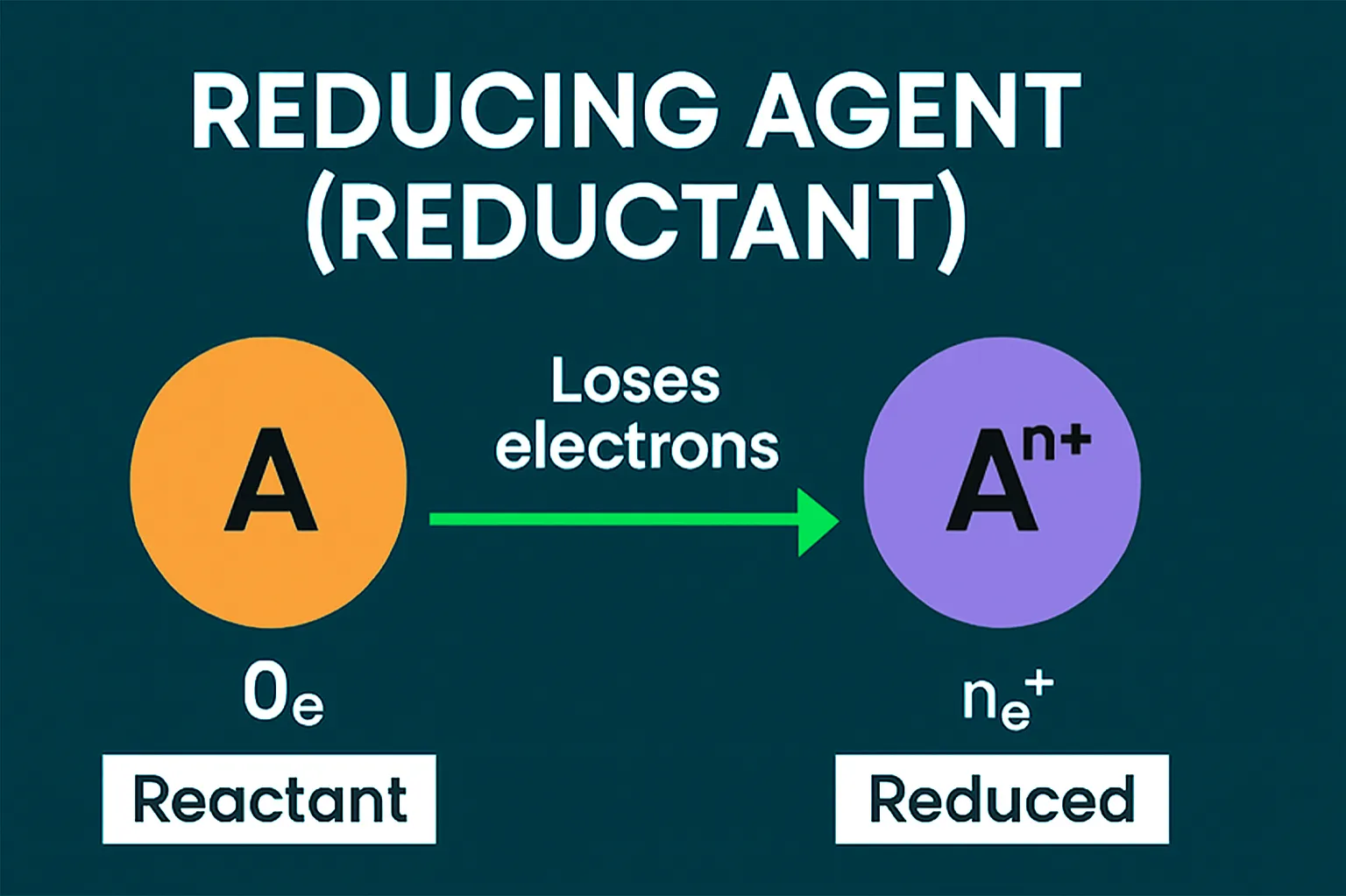 Reducing Agent (Reductant): A species that donates electrons to another species