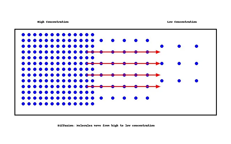 Diffusion: Particles move from high to low concentration naturally