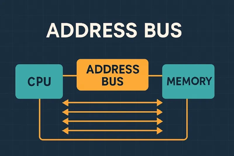 Address Bus: A unidirectional bus that carries memory addresses from the CPU to memory or I/O devices