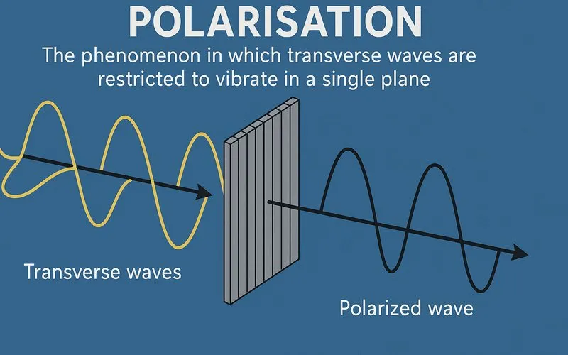 Polarisation