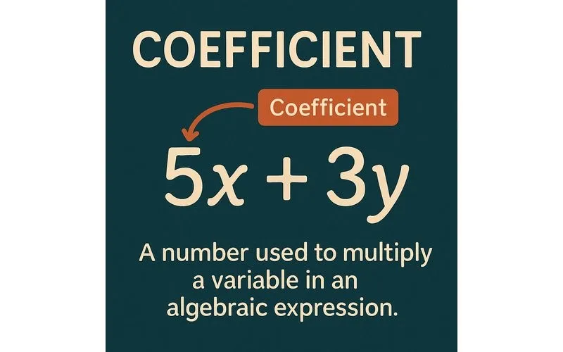 Coefficient
