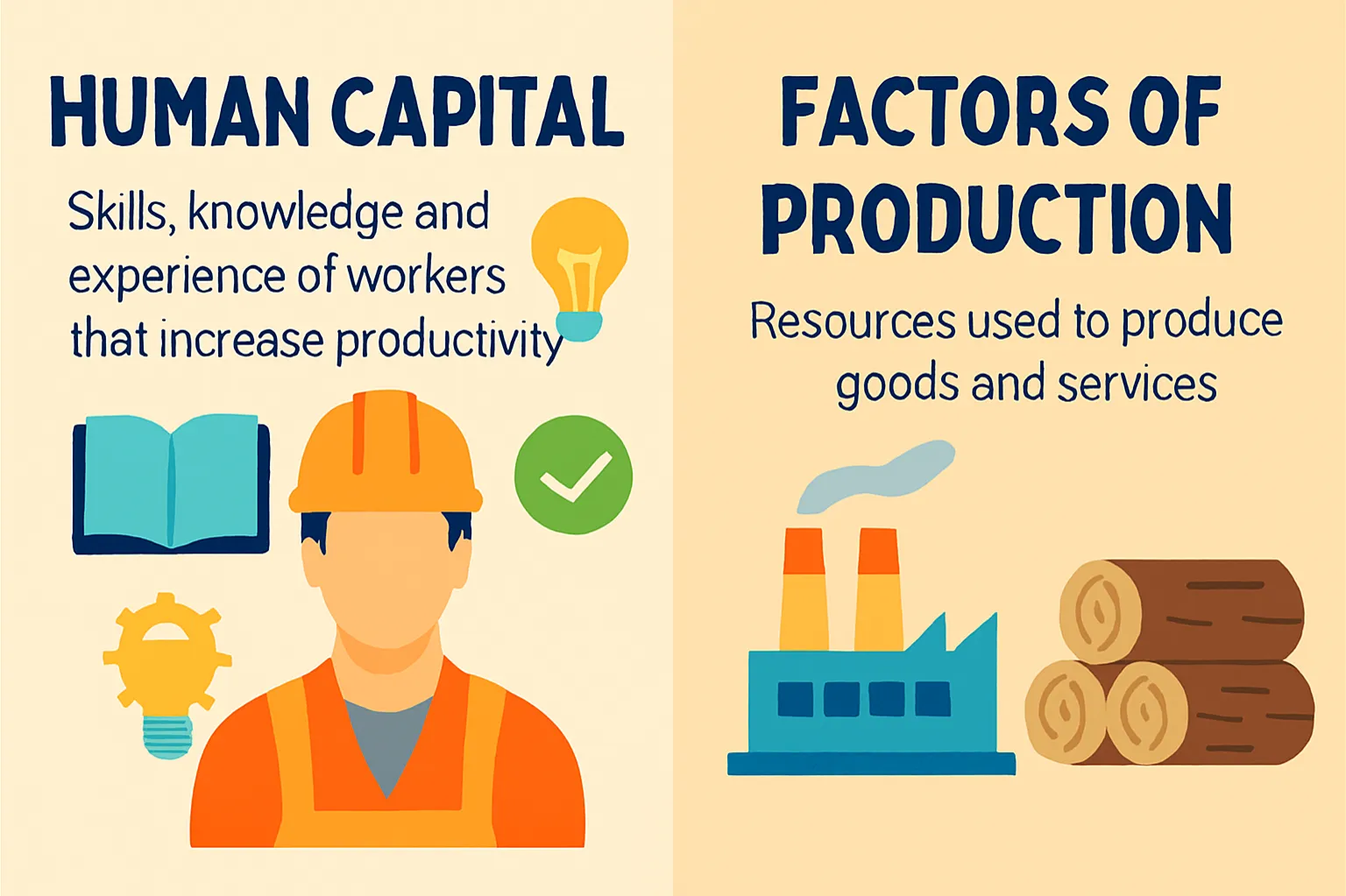 Human capital: skills, knowledge and experience of workers that increase productivity