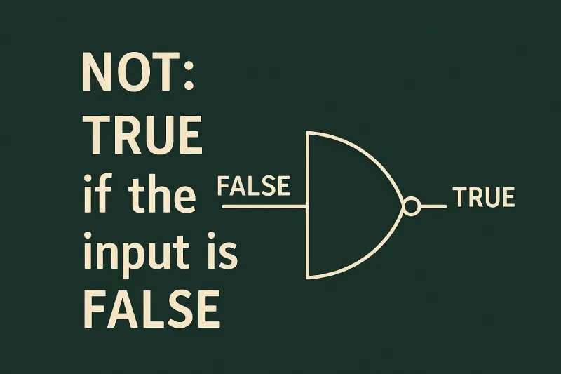 NOT: TRUE if the input is FALSE (negation)