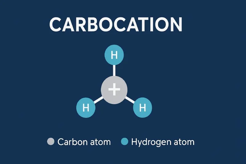 Carbocation: A carbon atom with a positive charge