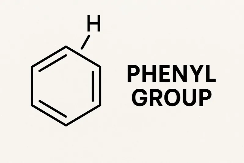 Phenyl Group: The functional group derived from benzene by removing one hydrogen atom