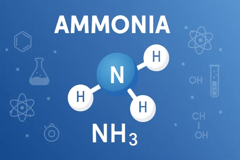 Ammonia (NH₃): A colorless gas with a characteristic pungent smell