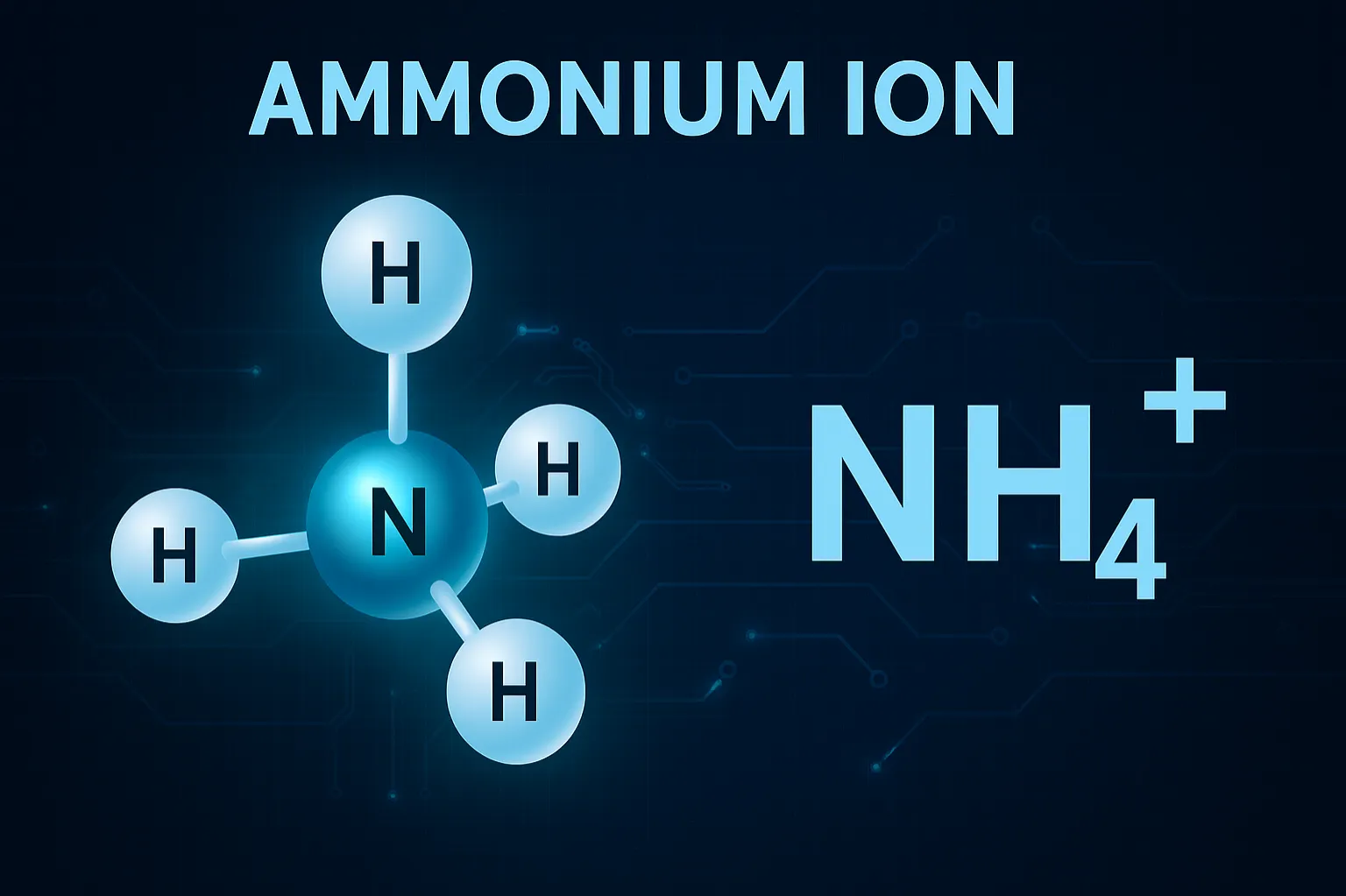 Ammonium Ion (NH₄⁺): A positively charged polyatomic ion formed by the protonation of ammonia