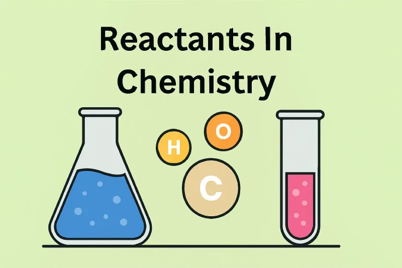 Reactants: Starting substances