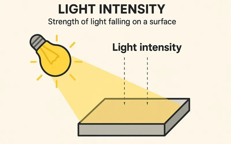 Light intensity: Strength of light falling on a surface