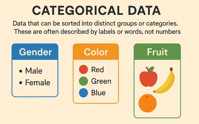 Categorical Data