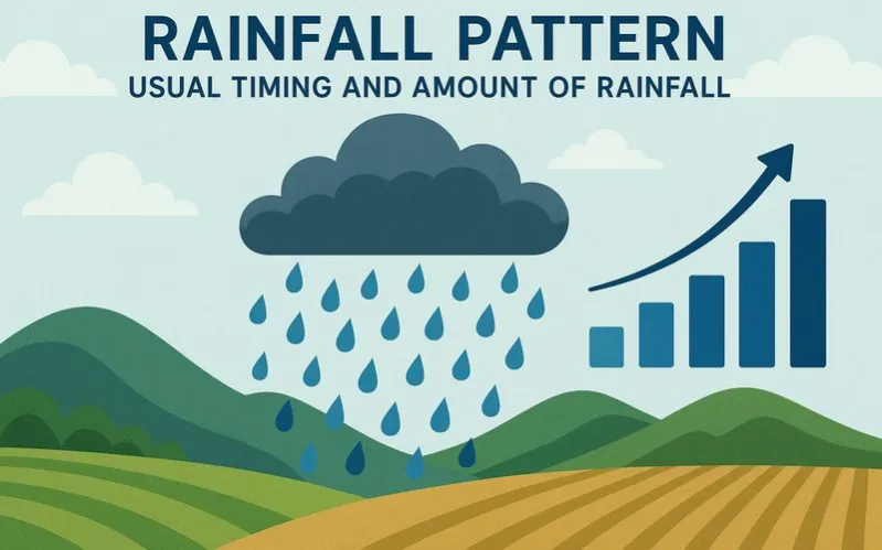 Rainfall pattern: Usual timing and amount of rainfall