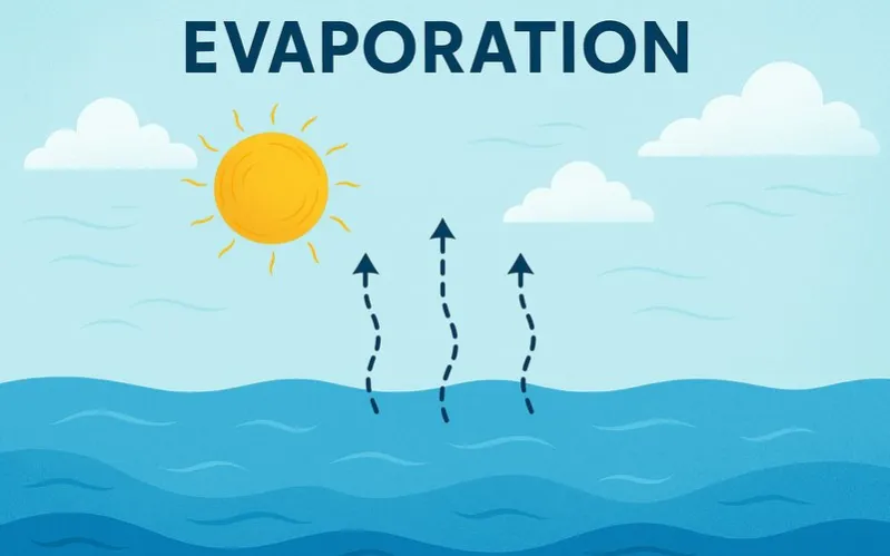 Evaporation: Change of state from liquid to gas at the surface