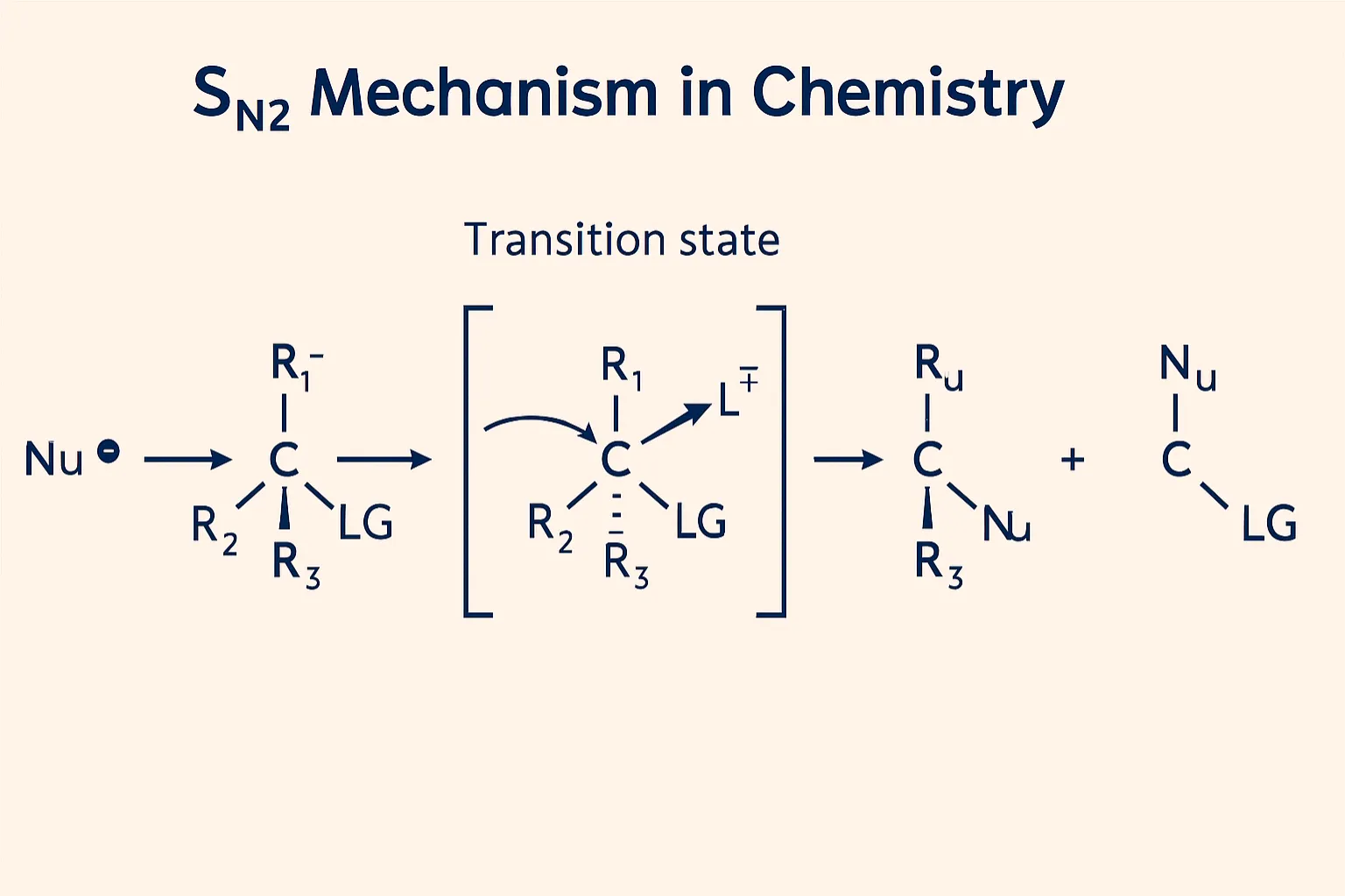 The Sₙ2 mechanism is a concerted, one-step nucleophilic substitution
