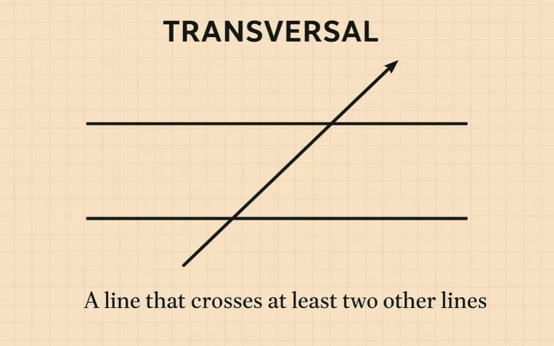 Transversal: A line that crosses at least two other lines