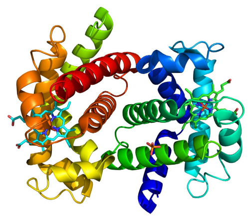 Cambridge International AS & A Level Biology 9700 Syllabus, Content, Assessment and Routes for 2025, 2026 and 2027
