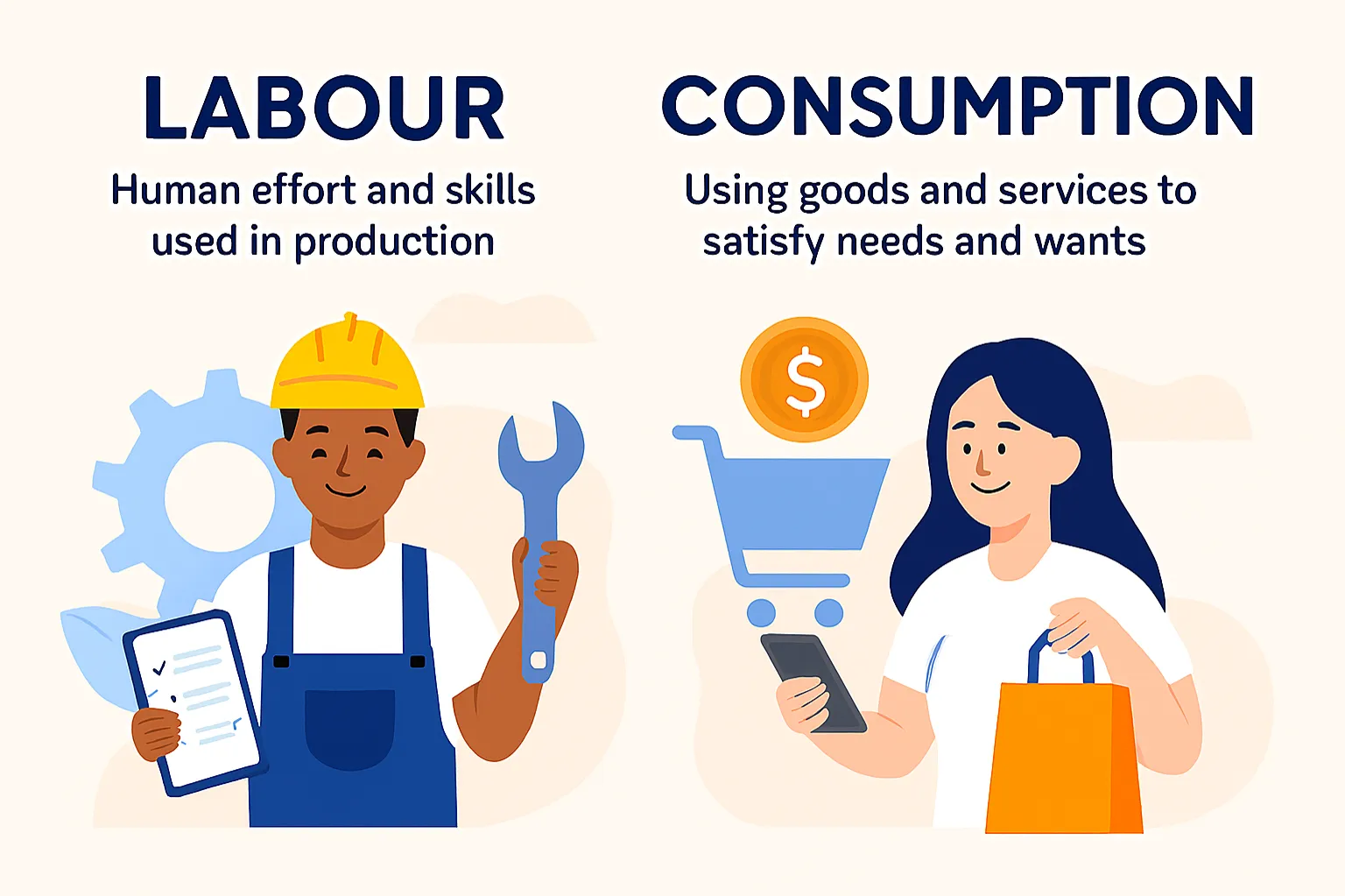 Labour: human effort and skills used in production