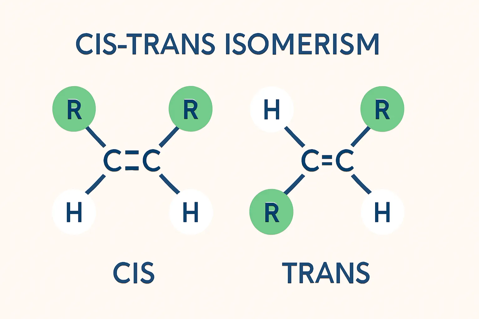 Cis-trans isomers have identical atoms but different spatial arrangements due to restricted bond rotation