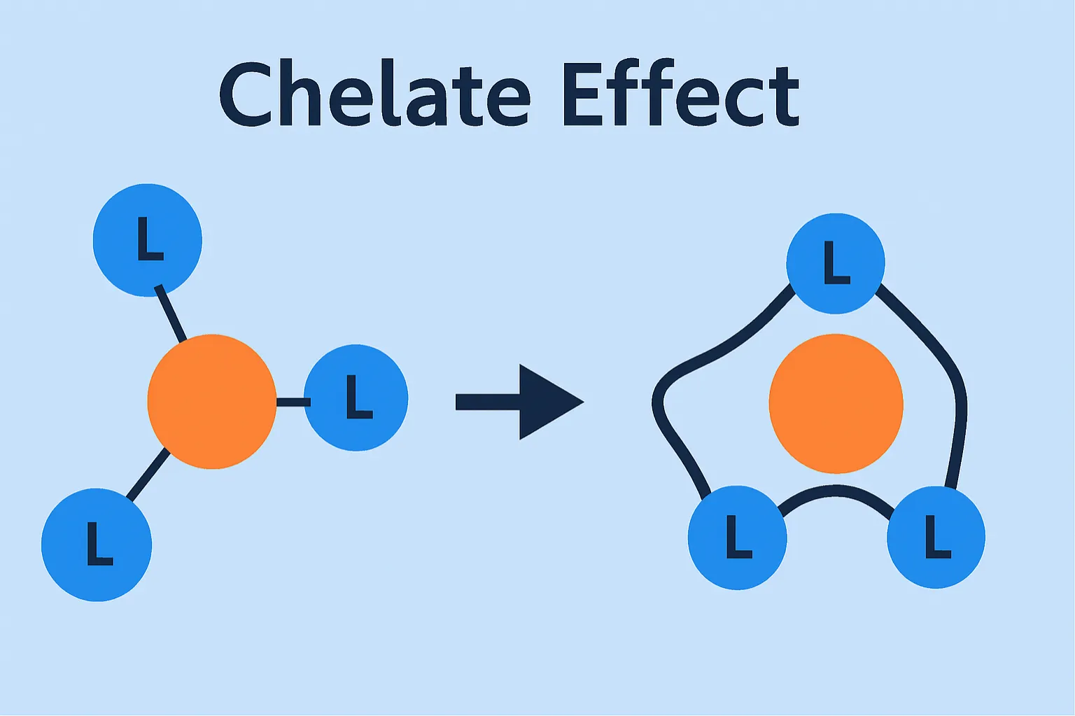 The chelate effect: multidentate ligands bind metal ions more strongly than monodentate ones